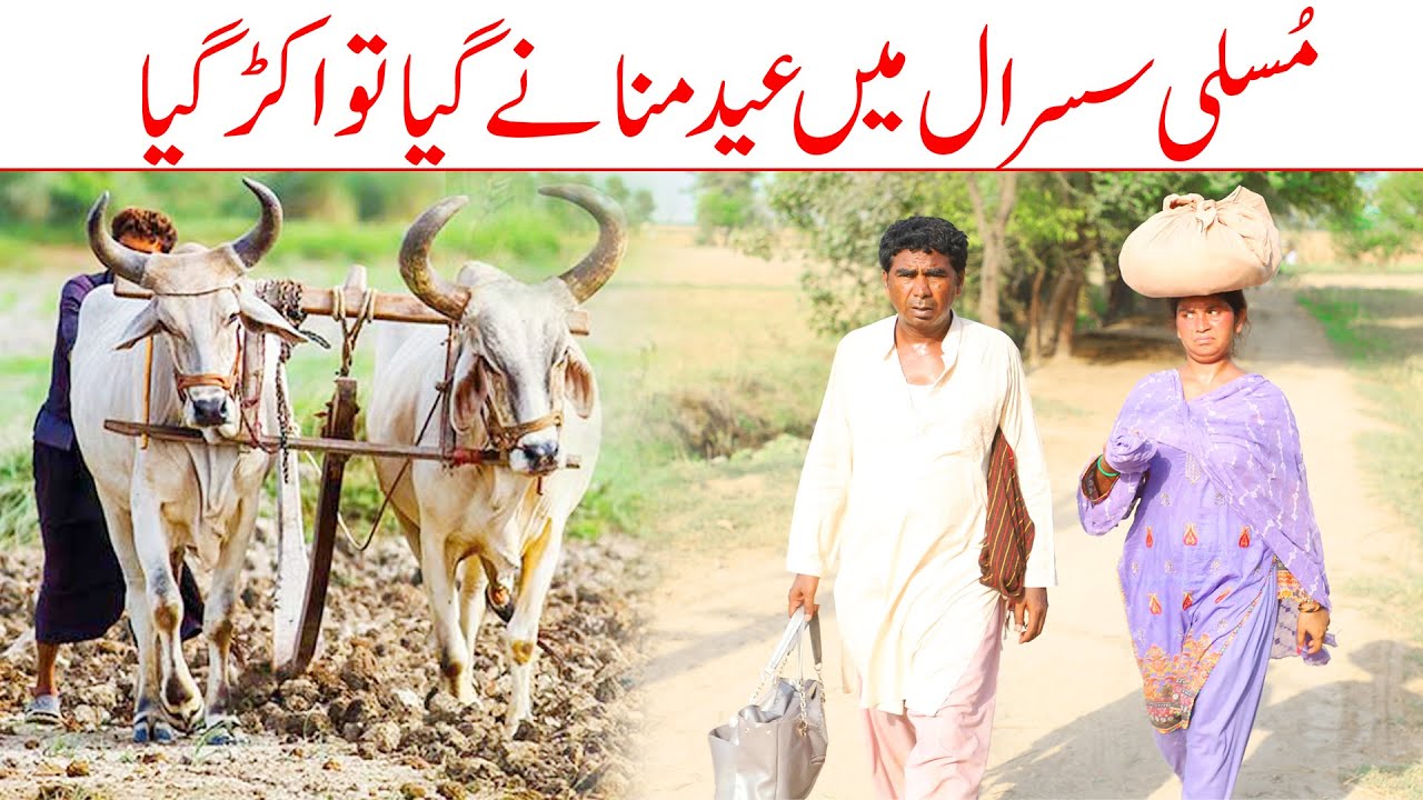 Susral Main Eid//Ramzi Sughri, Koki, Jatti,  Mai Sabiran,Bhotna,Sanam New Funny Video By Rachnavi Tv