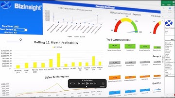More Than Charts and Graphs in Excel | BizNet Software