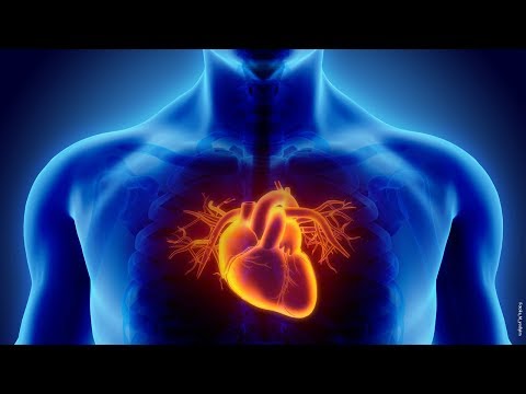 Video: Verursacht Bluthochdruck eine verminderte Herzleistung?