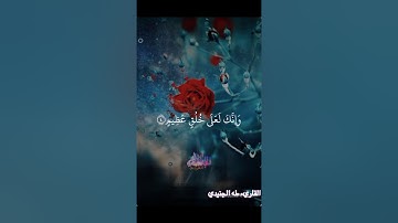 حالات واتس قرآن كريم سورة القلم بصوت الرائع طه الجنيدي