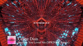 Celine Dion - Because You Loved Me (SPRINKK Remix)