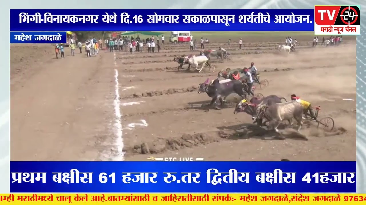 देवडोंगरीबाबा यात्रेनिमित्त भिंगी-विनायक नगर येथे बैलगाडा शर्यतीचे आयोजन. नागरिकांची उपस्थिती.