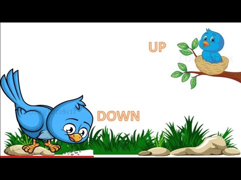 Concept Up Down For Kindergarten Youtube Concept Up Down For Kindergarten Youtube
