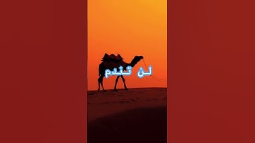 قران #الجزائر #دويتو #مصر #duet #اكسبلور #لايك #تيك_توك #قرآن #ترند #راحة_نفسية #عاجل #حصري #تلاوات