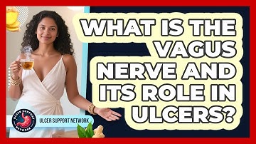 What Is The Vagus Nerve And Its Role In Ulcers? - Ulcer Support Network