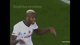 Pilaka Yerli