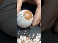 Raw Egg Peeling Marathon - Watch and listen to sleep well #asmr #funnyvideo #satisfying #eggpeeling