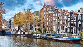 Czy Amsterdam zakazał reklam mięsa, aby nie urazić muzułmanów?