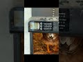 #farmlife #automaticcoopdoor #batterypowered