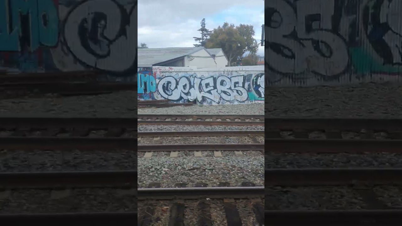 Diridon Station departure with Coast Starlight parked.