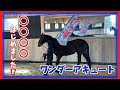 【相馬野馬追に向けて】ワンダーアキュート、旗トレ開始！…がまさかのスタート😂🚩
