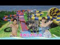 WEB限定 2025年 芝政ワールド CMソング 昼編 WEB限定 2025年 芝政ワールド CMソング 昼編