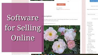 Software for Selling Online