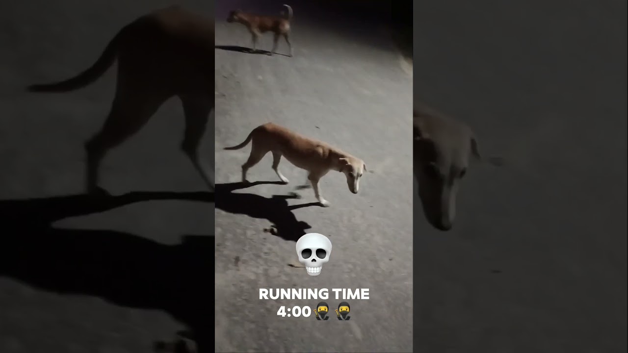 Runing time🏃#trending 📈 #running #fitness #viralvideo #trendingshorts #shorts #reels #bodybuilding 💪