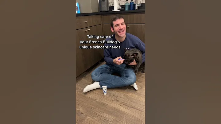IF YOU HAVE A FRENCHIE, TRY THESE PRODUCTS! #doggieshorts #frenchbulldog - DayDayNews