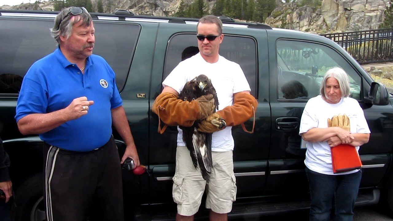 LTWC, Golden Eagle story, background, and some Q & A... MVI 4035 YouTube