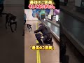 最後のご褒美、そしてありがとう。