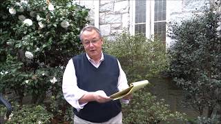 A message from the Rector