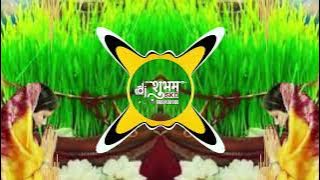 ज्वारे तोरे हरे हरे || Jaware Tore Hare Hare || Brazil Mix By Dj Shubham SKD & Dj Bharat