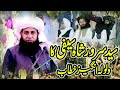 Allama syed sarwar shah saifi  at jaranwala  younus media