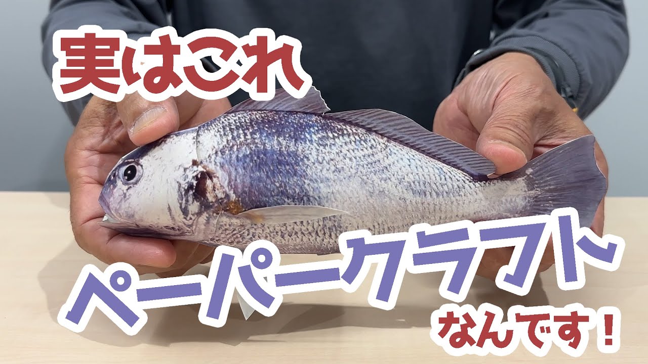 【オーダー受付】ペーパークラフト 魚 夏休みのおともに！さかなのペーパークラフト - YouTube