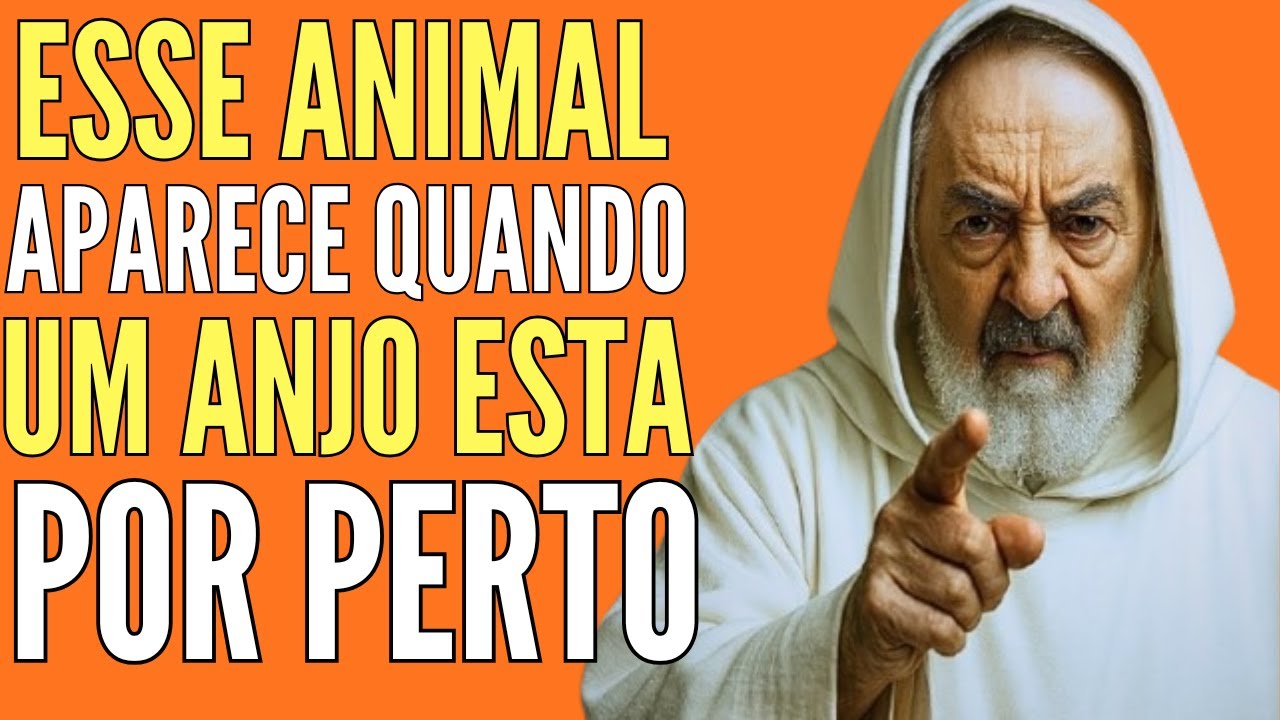 PADRE PIO REVELOU: ESTE ANIMAL É UM SINAL DE QUE UM ANJO ESTÁ POR PERTO