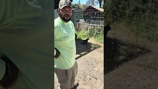 Garden update: May 2026