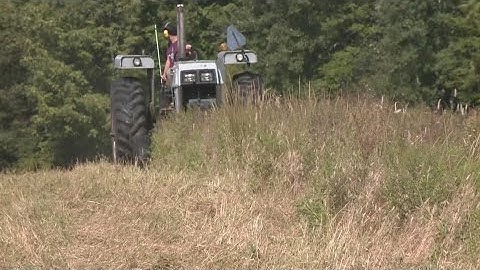 UMaine study reveals which crops are more likely to absorb PFAS