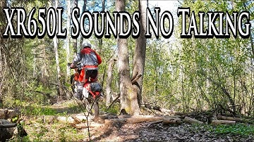 Honda XR650L Sounds & Sights No Talking Video 🔇