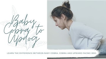 Vinyasa Yoga: Learn the difference between Baby Cobra, Cobra and Upward Facing Dog.