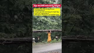 The struggle for survival in the rain.. | Emotional Struggle in Rain | Sivahp |