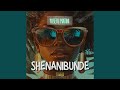 Shenanibunde