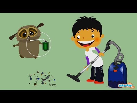Video: Hva gjør støvsugere?