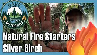 Natural Fire Starters: Silver Birch 🔥🔥