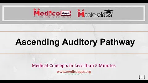 Ascending auditory pathway