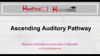 Ascending auditory pathway