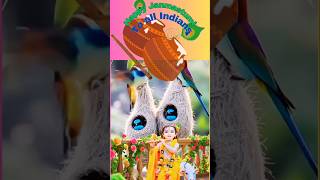 Happy birthday anniversary of Lord Krishna #festival #youtubeshort #janmashtamispecial #allindians