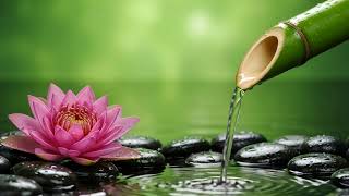 Relaxing Music for Stress, Anxiety and Depression: Healing Sleep Melodies for Deep Meditation