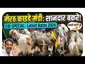 Meerut Friday  Mandi 15 May 2026 #azharvlogs #goat #animals #bakraeid #bakramandi #bakr #viral #goat