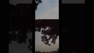 s #skyview #nature #art #viral #sunset #love #cloudscape #flowers #diy #sky #skyscape