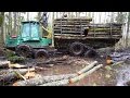 Timberjack 810B in wet forest, difficult logging conditions