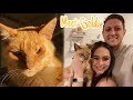 We Adopted a Cat! MEET GOLDIE!!