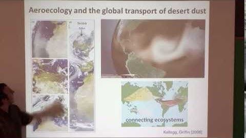 Geophysical Fluid Dynamics- Geometry & Ecology