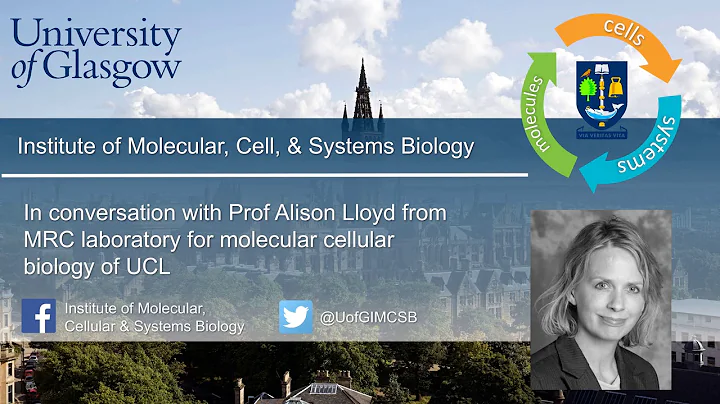 In conversation with Prof. Alison Lloyd
