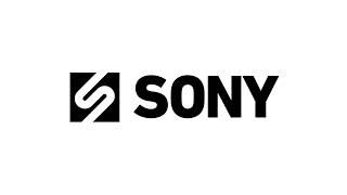 A new SONY logo!? I create 5 options showing the full logo design process from start to finish.