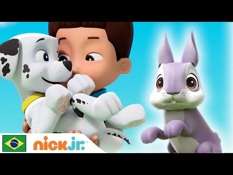 Patrulha Canina | Os Melhores Momentos dos Filhotes mais Adoráveis | Nick Jr. em Português