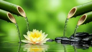 Serene Sounds for Anxiety & Stress Healing – Deep Rest & Mindfulness Practice
