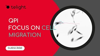 Webinar: QPI application focus on cell migration