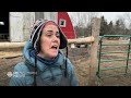 Avian flu forces big cull in rural Nova Scotia