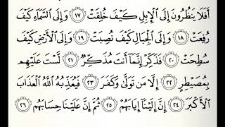 سورة الغاشية القارئ خالد عبدالكافي